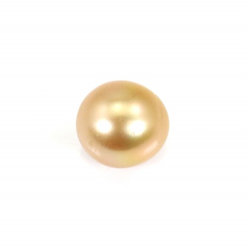 Perle des mers du Sud, dorée, semi-ronde, 11-11.5mm x 1pc