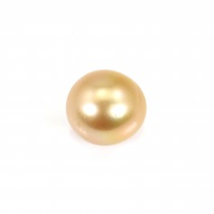 Perla dei Mari del Sud, dorata, semitonda, 11-11,5 mm x 1 pz