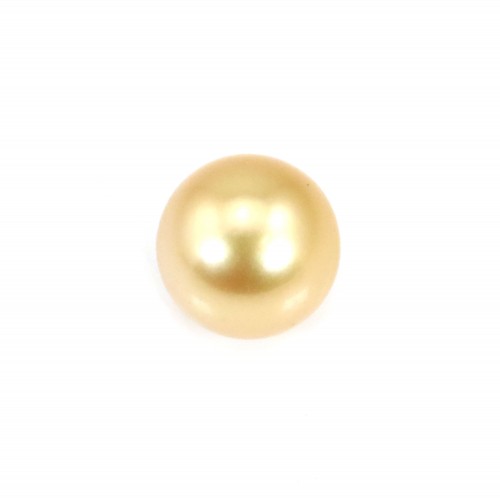 Perla de los Mares del Sur, dorada, semirredonda, 11,5-12mm x 1ud