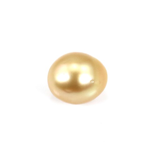 Perla de los Mares del Sur, dorada, oliva/perla, 11-11,5mm x 1ud