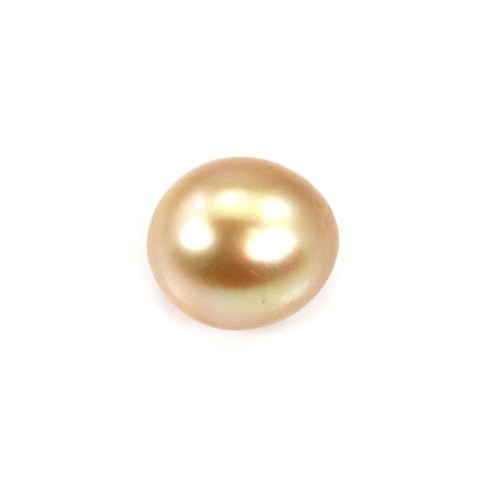 Pérola do Mar do Sul, dourada, semi-redonda, 12-12.5mm x 1pc