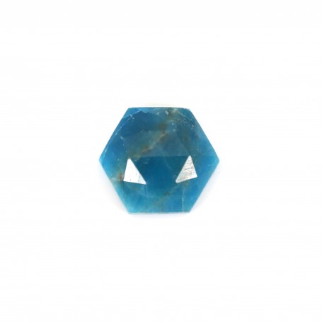 Apatite faceted hexagon cabochon 10mm x 1pc