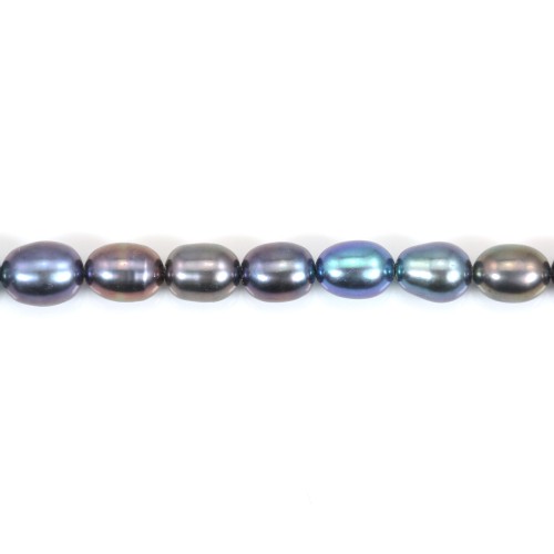 Freshwater cultured pearls, dark blue, olive, 5.5-6mm x 2pcs