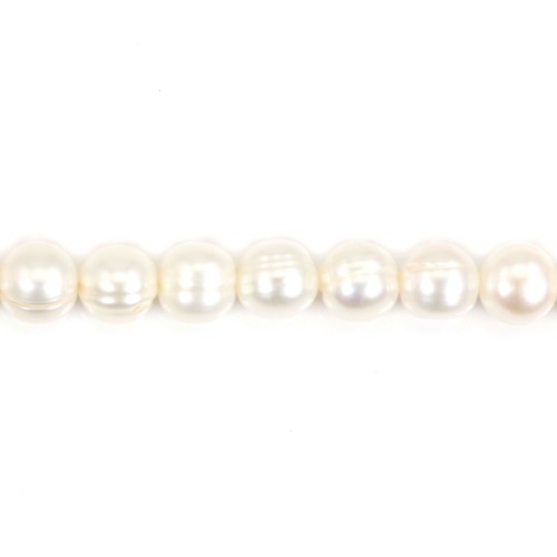 Perle coltivate d'acqua dolce, bianche, semitonde/anellate, 8-9 mm x 36 cm