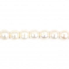 Perles de culture d'eau douce, blanche, semi-ronde/cerclé, 8-9mm x 36cm
