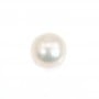 Perle de culture d'eau douce blanche ronde 11-12mm x 1pc