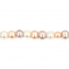 Perle coltivate d'acqua dolce, multicolori, semitonde, 8 mm x 4 pezzi