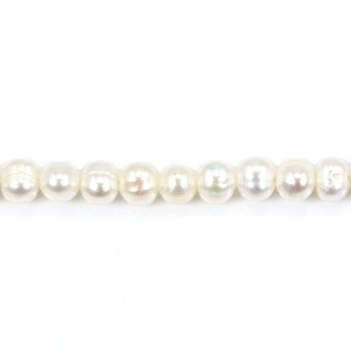 Perle coltivate d'acqua dolce, bianche, ovali, 5 mm x 38 cm