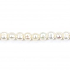 Perlas cultivadas de agua dulce, blancas, ovaladas, 5mm x 38cm