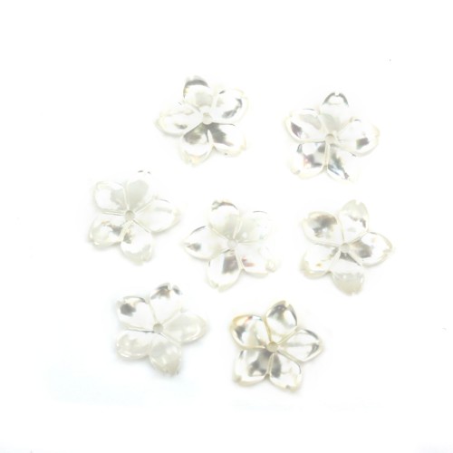 Fiore bianco di madreperla 5 petali 10mm x 1pc