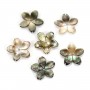 Gray mother-of-pearl 5 petal flower 15mm x 1pc