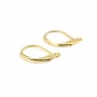Dormeuse earring 10x16mm - 304 stainless steel gold-plated x 2pcs