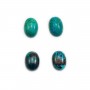 Cabochon chrysocolle ovale 10x14mm x 1pc