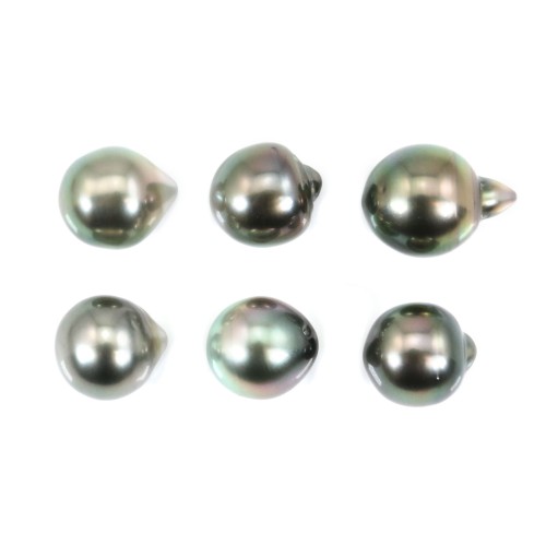 Perle tahiti semi-ronde 9.5-10.5mm x6