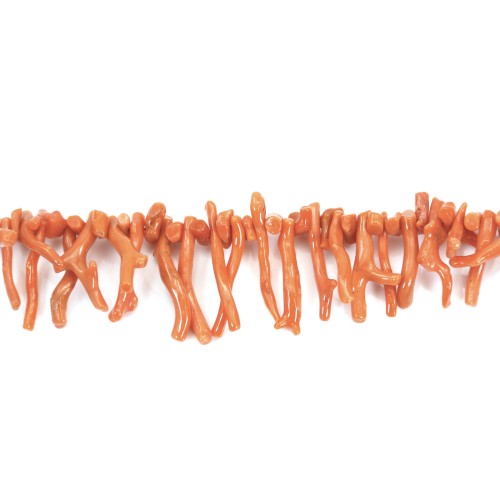 Ramo di corallo arancione naturale x 50 cm