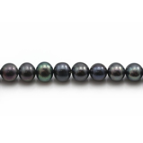 Freshwater cultured pearls, dark blue, half-round 6-7mm x 38cm