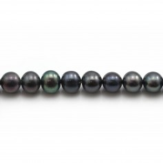Perle coltivate d'acqua dolce, blu scuro, semirotonde 6-7 mm x 38 cm