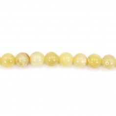 Opale, giallo, forma rotonda, 8 mm x 4 pz