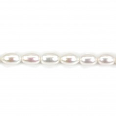 Freshwater cultured pearls, white, olive, 8mm x 38cm