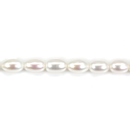 Perles d'eau douce blanches ovale 9-13mm x 1pc