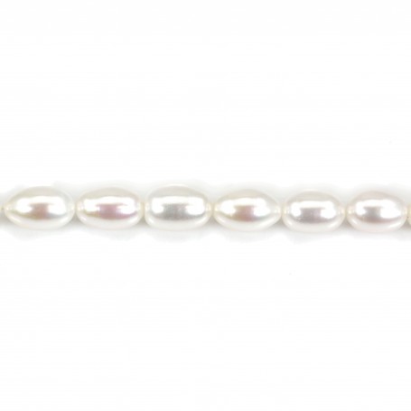 Perles d'eau douce blanches ovale 9-13mm x 1pc