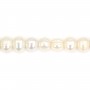 White freshwater pearls on thread 8x9mm x 40cm
