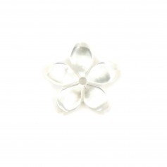 White mother of pearl flower with 5 petals 10mm x 1pc